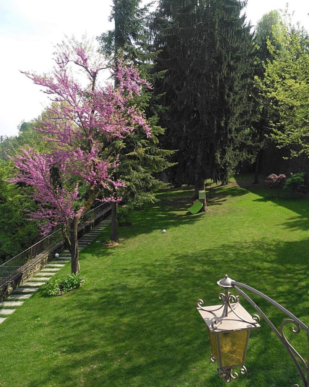 B&B Dimora Delle Donnole Bergamo Alta Eksteriør billede